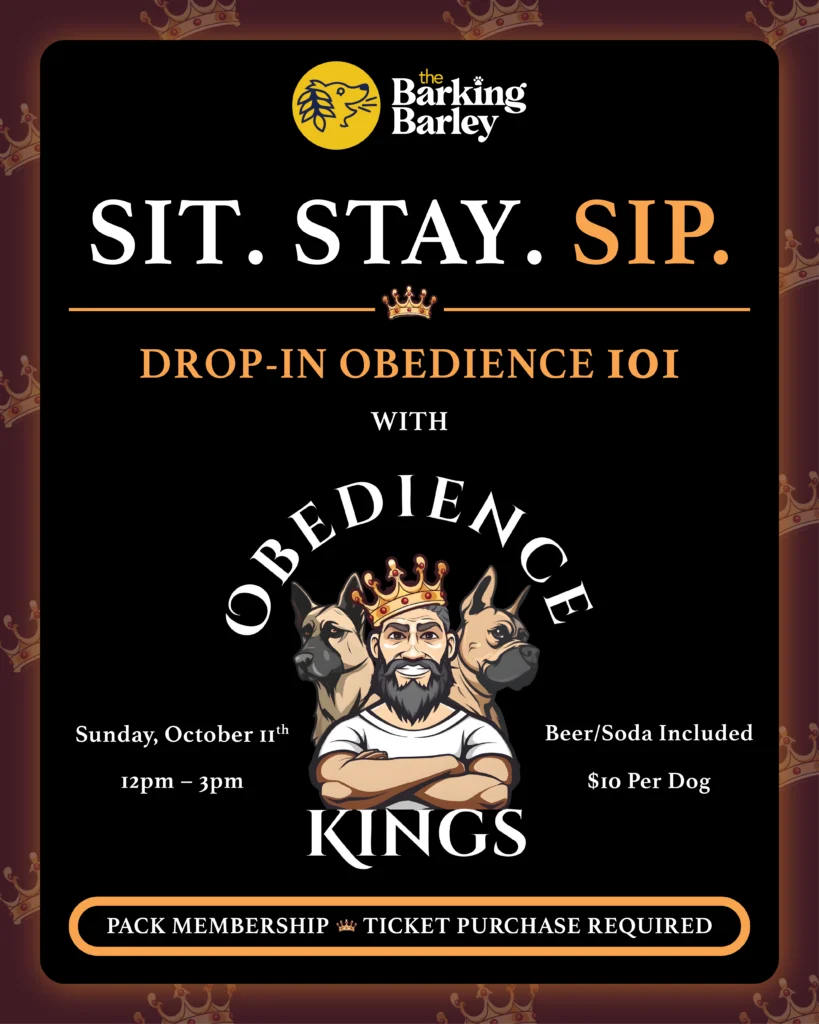 Sit. Stay. Sip Obedience 101 with obedience kings at the Barking Barley
